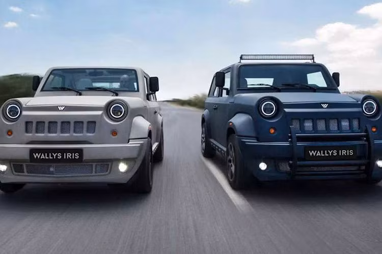 Tỷ lệ người nghèo trên toàn cầu đã giảm đáng kể trong thập kỷ qua cùng với sự gia tăng của tầng lớp trung lưu. Tuy nhiên, không phải ai cũng có cơ hội mua những sản phẩm mới nhất và tốt nhất từ các nhà sản xuất ôtô lớn nhất thế giới - chính vì vậy Wallys Iris giá rẻ ra đời.