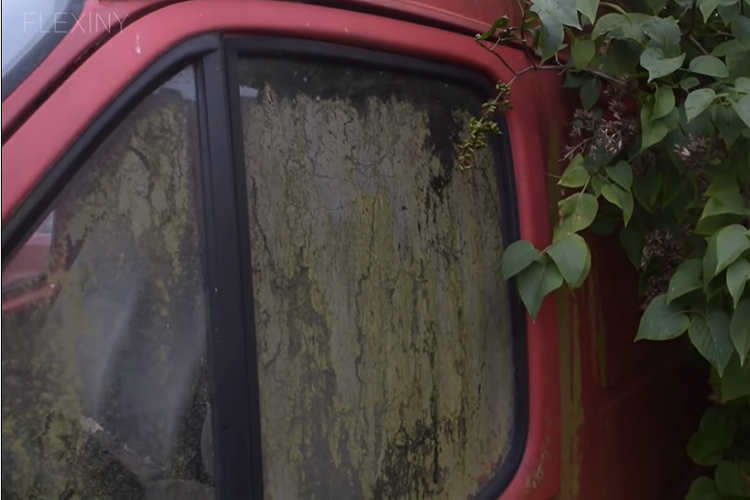 Trong số hơn 8 triệu chiếc Ford Transit đã bán ra toàn thế giới, có không ít xe hiện đã bị bỏ không vì cũ và hư hỏng. Chiếc Ford Transit trong đoạn video dưới đây là một trong số đó. Chiếc Ford Transit bị bỏ xó trong đoạn video này thuộc thế hệ thứ 2, được sản xuất từ năm 1986. Xe thuộc phiên bản 1994 và sử dụng động cơ diesel 4 xi-lanh, dung tích 2.5L.