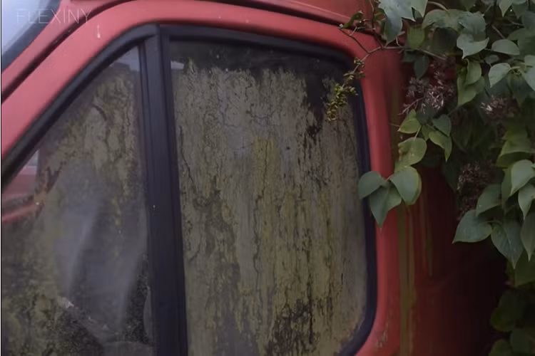 Trong số hơn 8 triệu chiếc Ford Transit đã bán ra toàn thế giới, có không ít xe hiện đã bị bỏ không vì cũ và hư hỏng. Chiếc Ford Transit trong đoạn video dưới đây là một trong số đó. Chiếc Ford Transit bị bỏ xó trong đoạn video này thuộc thế hệ thứ 2, được sản xuất từ năm 1986. Xe thuộc phiên bản 1994 và sử dụng động cơ diesel 4 xi-lanh, dung tích 2.5L.