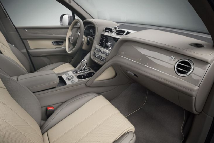 Kết hợp với những mảng ốp đá trên là các lớp ốp gỗ veneers màu truyền thống hơn (đỏ Liquid Amber, nâu Dark Burr Walnut và nâu nhạt Tamo Ash), hoàn thiện với lớp santin có lỗ thoáng ở ngoài cùng.