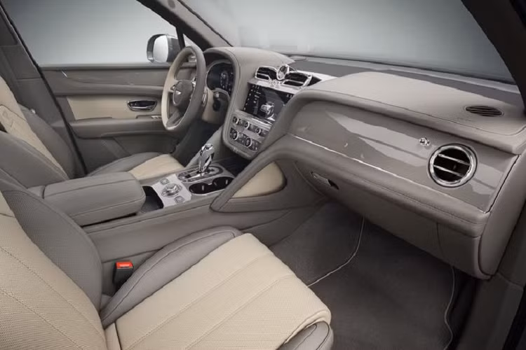 Kết hợp với những mảng ốp đá trên là các lớp ốp gỗ veneers màu truyền thống hơn (đỏ Liquid Amber, nâu Dark Burr Walnut và nâu nhạt Tamo Ash), hoàn thiện với lớp santin có lỗ thoáng ở ngoài cùng.