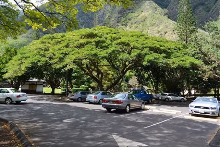 Tu chong nong xe oto trong nang he hon 40 do nhu the nao?