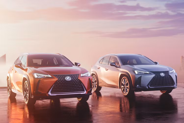 Mẫu xe crossover Lexus UX từng được biết đến là sản phẩm tiếp theo của tập đoàn Toyota nói chung được phát triển dựa trên nền tảng khung gầm Toyota New Global Architecture (TNGA) toàn cầu mới, từng được áp dụng cho những phiên bản thế hệ mới nhất hiện nay của Prius, C-HR, Corolla, Auris (phiên bản hatchback của Corolla) và Avensis.
