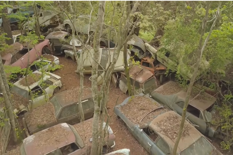 Old Car City có thể là một địa điểm phiêu lưu lý thú dành cho những người mê xe cổ nếu họ có chút thời gian rảnh rỗi và muốn khám phá một điều gì đó khác lạ.