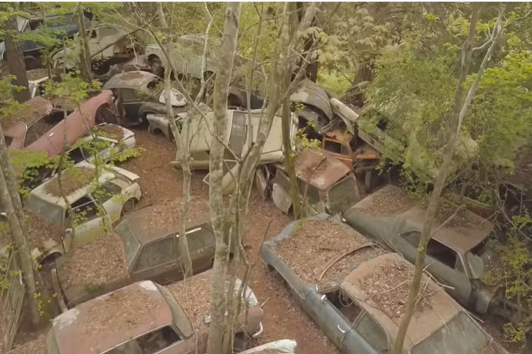 Old Car City có thể là một địa điểm phiêu lưu lý thú dành cho những người mê xe cổ nếu họ có chút thời gian rảnh rỗi và muốn khám phá một điều gì đó khác lạ.