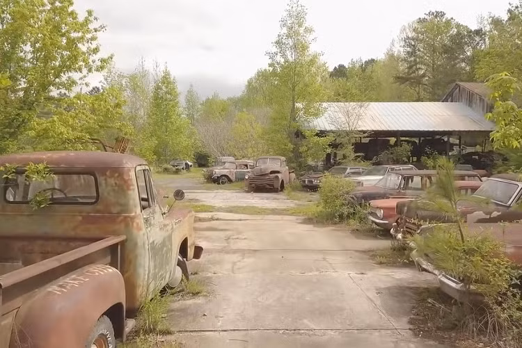 Bạn có thể ghé thăm bãi phế liệu này chỉ với giá vé vào cửa 20 USD. Giá vé chỉ là 10 USD đối với trẻ em từ 7 đến 12 tuổi, và miễn phí cho trẻ em từ 6 tuổi trở xuống. Nhưng bạn sẽ cần phải trả thêm 30 USD để chụp ảnh.