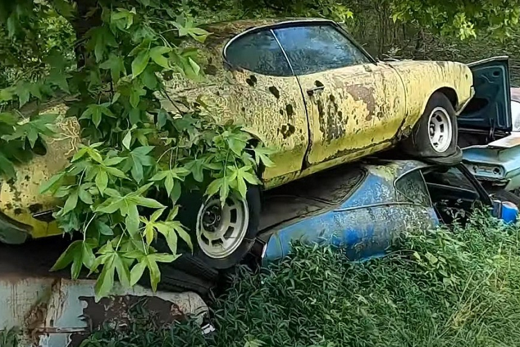 Old Car City cũng mang lại cảm giác rợn người. Với việc thảm thực vật đã chiếm gần hết diện tích đất, nhiều chiếc ôtô đã bị chôn vùi dưới đất hoặc bị lá cây che phủ. Nhiều người có thể sẽ rất buồn khi thấy hàng trăm, hàng nghìn chiếc xe cổ tuyệt vời đang chịu cảnh mục nát ở nơi đây, nhưng ít nhất bãi phế liệu này hiện đang hoạt động như một viện bảo tàng.