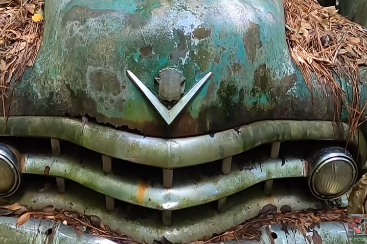 Trải dài trên 13,7 héc-ta đất rừng, nơi này rất rộng lớn và phải mất vài giờ để đi hết. Tuy nhiên, điều thú vị là Old Car City tại Mỹ không phải là một bãi phế liệu bỏ hoang như nhiều người có thể nghĩ.