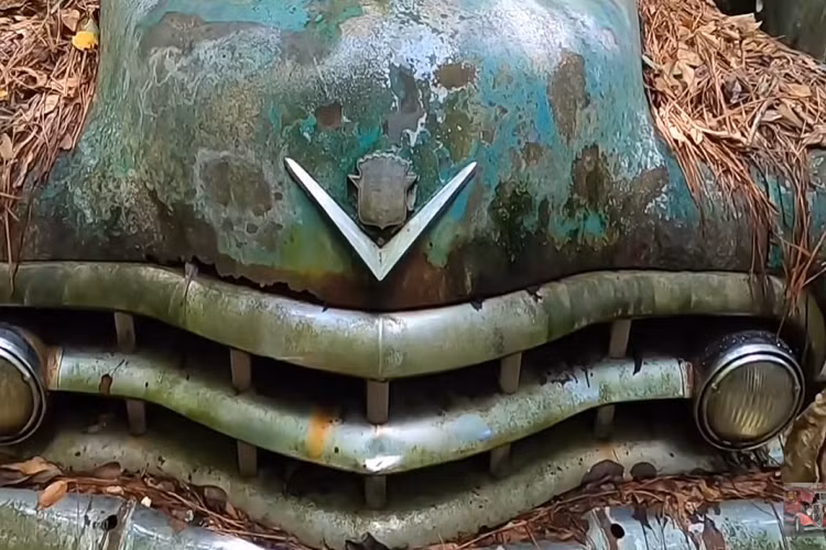 Trải dài trên 13,7 héc-ta đất rừng, nơi này rất rộng lớn và phải mất vài giờ để đi hết. Tuy nhiên, điều thú vị là Old Car City tại Mỹ không phải là một bãi phế liệu bỏ hoang như nhiều người có thể nghĩ.