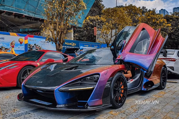 Đây là chiếc McLaren Senna độc nhất Việt Nam tính đến thời điểm hiện tại, xe được đưa về nước vào tháng 7/2020 thông qua một công ty tư nhân và thuộc sở hữu của doanh nhân Hoàng Kim Khánh.