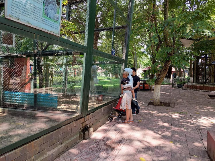 Lãnh đạo Vườn thú Hà Nội cho biết, việc tẩy trùng các phòng bán vé, điểm dịch vụ, chuồng thú được thực hiện thường xuyên. 