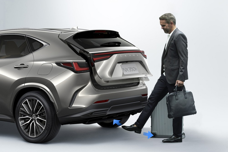 Tại thị trường Nhật Bản, chỉ có Lexus NX250 2022 là không có gói phụ kiện F Sport thể thao. Gói này sẽ bổ sung lưới tản nhiệt riêng, cản trước/sau thể thao hơn và bộ vành hợp kim 20 inch màu đen bóng cho xe.