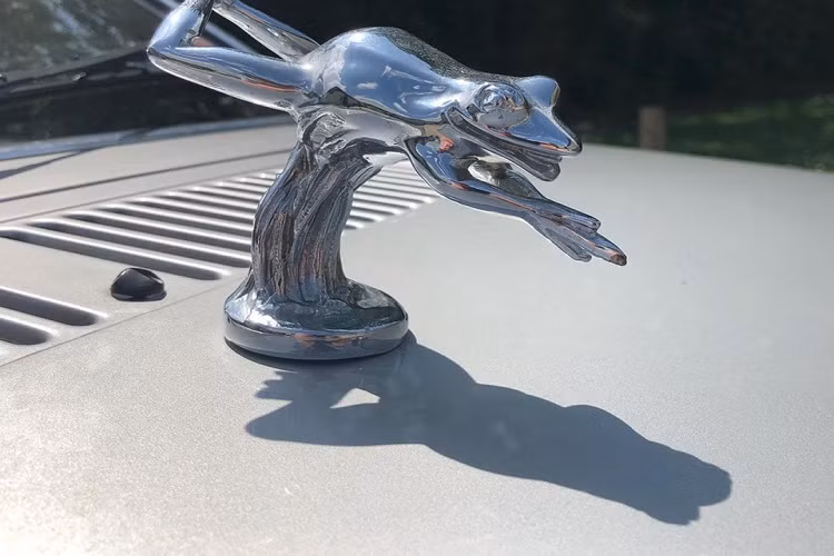 Chiếc Ford Escort của Công nương Diana sẽ được bán đấu giá vào ngày 29/6 tại phiên đấu giá Hoàng gia của Reeman Dansie. Nó được dự đoán thu về từ 30.000-40.000 bảng Anh (42.314-56.450 USD).