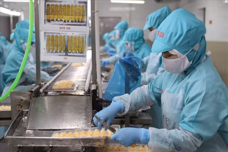 Khanh Hoa: Thuong Tet cao nhat 200 trieu dong