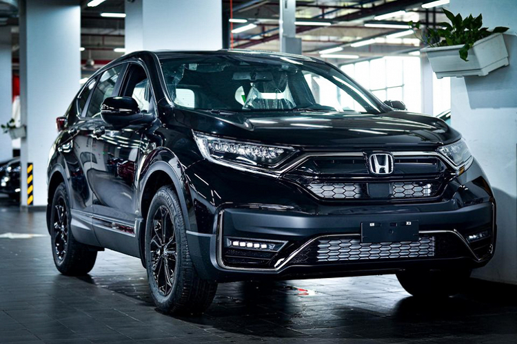 Honda CR-V LSE tại Việt Nam chỉ có duy nhất một lựa chọn sơn Đen bóng. So với các phiên bản thông thường, CR-V LSE được tinh chỉnh lại các chi tiết về ngoại thất và nội thất nhằm tăng thêm vẻ mạnh mẽ, khỏe khoắn bao gồm: đường viền mạ chrome tối màu; “dàn chân” mâm 18 inch 5 chấu nhưng được sơn đen và logo “Black Edition” phía sau xe.