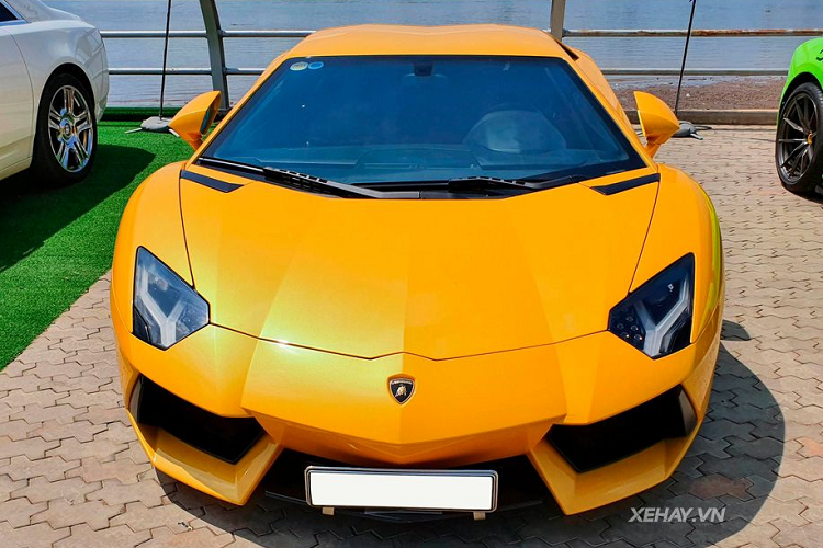 Thực tế, Lamborghini Aventador là một trong những mẫu siêu xe đình đám bậc nhất trên thế giới. Với cái tên được bắt nguồn từ tên của 1 chú bò tót nổi tiếng từng tham gia trận đấu vào tháng 10/1993 tại Saragossa Arena, siêu xe Lamborghini Aventador chứa đựng rất nhiều tham vọng của hãng siêu xe Ý trong việc kế thừa mẫu xe danh tiếng Murcielago.