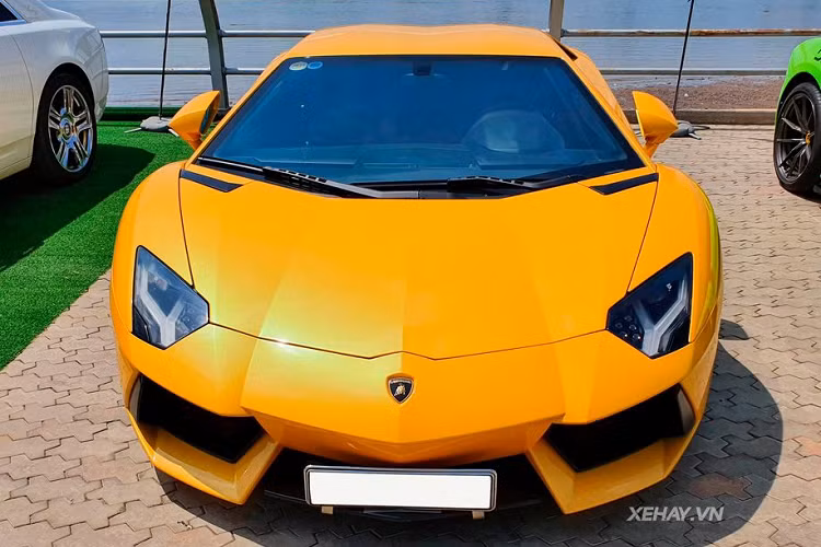 Thực tế, Lamborghini Aventador là một trong những mẫu siêu xe đình đám bậc nhất trên thế giới. Với cái tên được bắt nguồn từ tên của 1 chú bò tót nổi tiếng từng tham gia trận đấu vào tháng 10/1993 tại Saragossa Arena, siêu xe Lamborghini Aventador chứa đựng rất nhiều tham vọng của hãng siêu xe Ý trong việc kế thừa mẫu xe danh tiếng Murcielago.