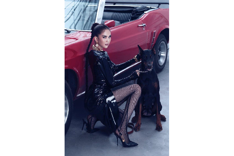 Ngọc Trinh là cái tên đã quá nổi tiếng trong làng giải trí Việt và được ví von với cái tên "nữ hoàng nội y". Mới đây trên trang cá nhân của mình, người đẹp đã đăng tải bộ ảnh chụp chung với "ngựa hoang" Ford Mustang đời 1969, chiếc xe thuộc loại hàng hiếm tại Việt Nam cũng như thế giới.