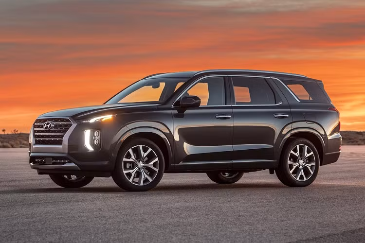 Hyundai trieu hoi Palisade doi 2021 vi loi dau phanh-Hinh-2