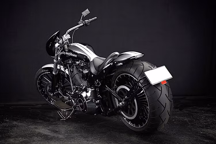 Điểm khác biệt chỉ đến từ chắn bùn trước/sau, ghi-đông, bình xăng, bộ lọc không khí và hệ thống ống xả do chính xưởng độ Bad Land của Nhật Bản sản xuất.