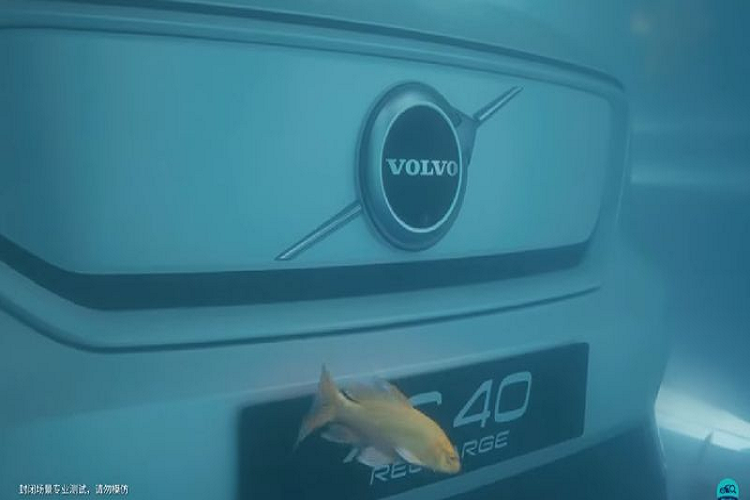 Không rõ chiếc Volvo XC40 Recharge ngâm nước trong bao lâu, nhưng sau đó xe đã được điều khiển từ xa và dần chạy ra khỏi bể cá khổng lồ.