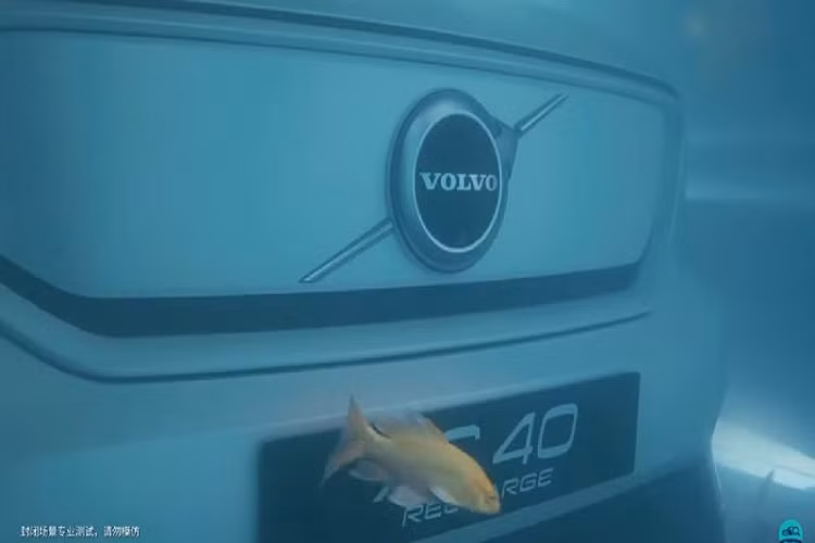Không rõ chiếc Volvo XC40 Recharge ngâm nước trong bao lâu, nhưng sau đó xe đã được điều khiển từ xa và dần chạy ra khỏi bể cá khổng lồ.