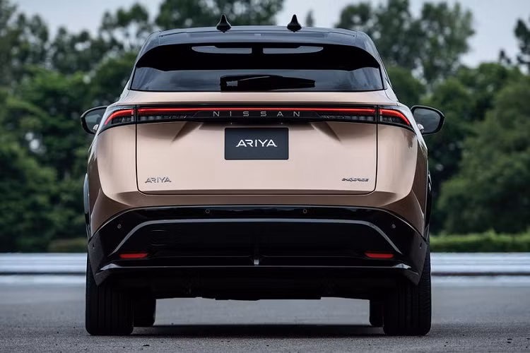 Ở nhiều thị trường quốc tế, Nissan Ariya 2022 chạy điện được bán ra với 5 tuỳ chọn về động cơ. Loại tiêu chuẩn là động cơ điện cho ra công suất 160 kW (215 mã lực), 300 Nm mô-men xoắn, đi kèm viên pin 65 kWh, hệ dẫn động cầu trước, phạm vi di chuyển 360 km với một lần sạc và thời gian tăng tốc từ 0 - 100 km/h trong 7,5 giây.