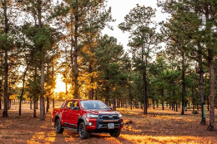 Toyota la thuong hieu co nhieu xe dat chuan 5 sao an toan nhat-Hinh-3