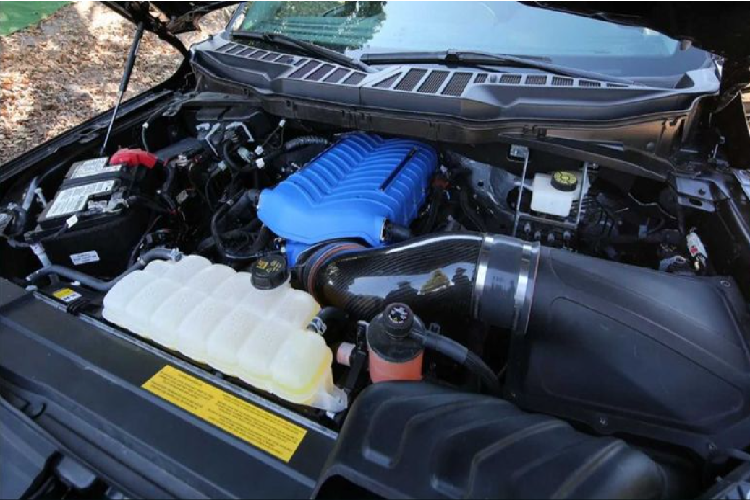 Siêu bán tải Shelby F-150 Super Snake 2021 tự hào là chiếc Super Snake mạnh mẽ nhất hiện nay với công suất 775 mã lực, tăng 5 mã lực so với trước đây. Khối động cơ V8 5.0L của F-150 đã được Shelby lắp thêm một bộ siêu nạp, cung cấp lực đẩy mạnh hơn cho xe, song song với đó, động cơ V8 cũng được nâng cấp rất nhiều để khai thác tối đa sức mạnh.