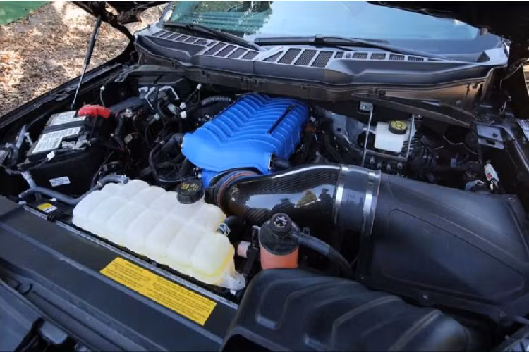 Siêu bán tải Shelby F-150 Super Snake 2021 tự hào là chiếc Super Snake mạnh mẽ nhất hiện nay với công suất 775 mã lực, tăng 5 mã lực so với trước đây. Khối động cơ V8 5.0L của F-150 đã được Shelby lắp thêm một bộ siêu nạp, cung cấp lực đẩy mạnh hơn cho xe, song song với đó, động cơ V8 cũng được nâng cấp rất nhiều để khai thác tối đa sức mạnh.