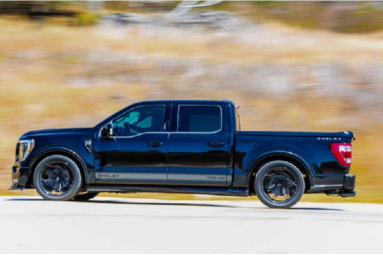 Tuy vậy, Shelby F-150 Super Snake 2 cửa vẫn có bodykit Shelby giống như bản 4 cửa, bao gồm líp trước đặt thấp, các sọc hầm hố ở chính giữa thân xe và cả 2 bên cánh cửa, vòm bánh xe loe rộng đồng thời có thêm khe gió và lưới tản nhiệt Shelby cỡ lớn.