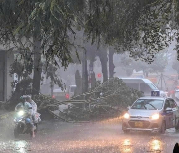 Khi đưa thi thể lên, công an không phát hiện dấu hiệu bị tác động ngoại lực. Do nạn nhân bị ngâm nước lâu nên mọi dấu vết trở nên mơ hồ. Tuy nhiên, đây chắc chắn là một vụ án mạng. Công tác điều tra của Công an Hà Nội gặp nhiều khó khăn bởi thời điểm anh T. bị sát hại trùng với lúc cơn bão Yagi đổ bộ. Trời mưa lớn cũng phần nào xóa đi những gì hung thủ vô tình để lại. (Ảnh minh họa, nguồn internet) 