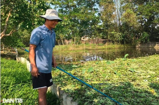 Nông dân Hà Tĩnh thu trăm triệu mỗi năm nhờ nuôi ốc bươu đen Nong dan Ha Tinh thu tram trieu moi nam nho nuoi oc buou den