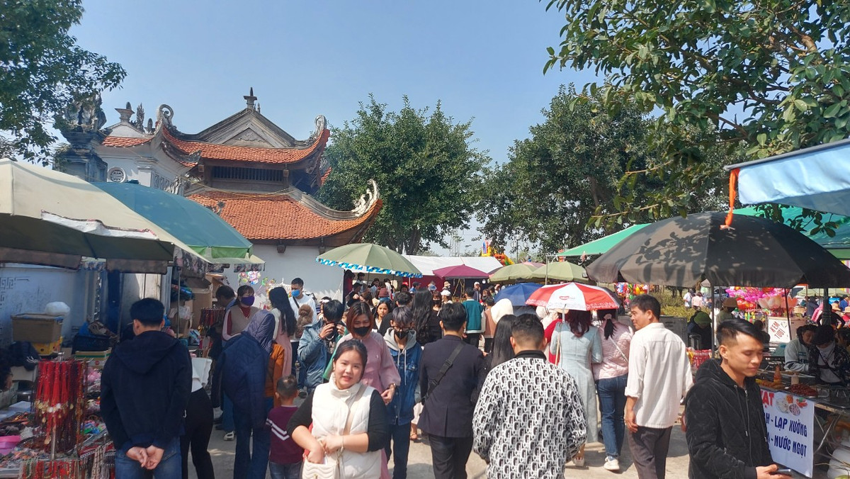 Đầu xuân, hơn vạn du khách về đền Bia dâng hương Đại danh y Tuệ Tĩnh - Hình 2 Dau xuan, hon van du khach ve den Bia dang huong Dai danh y Tue Tinh-Hinh-2