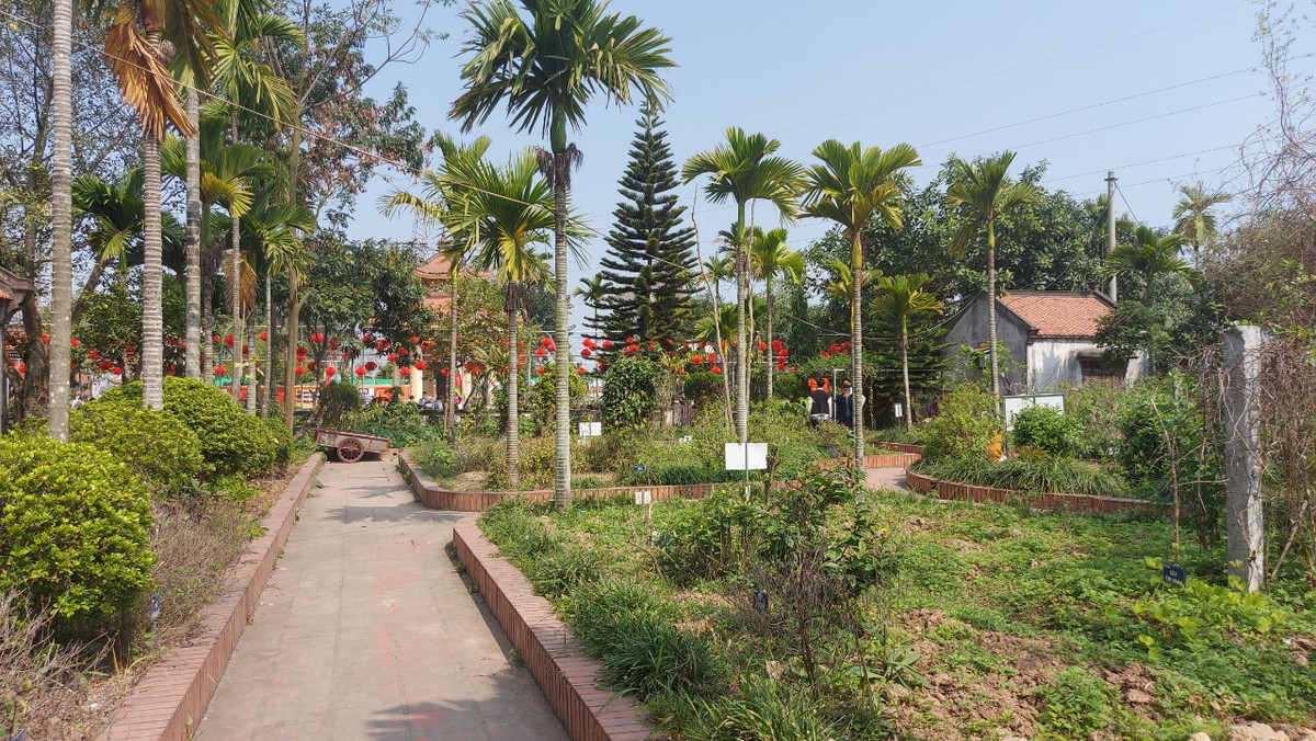 Đầu xuân, hơn vạn du khách về đền Bia dâng hương Đại danh y Tuệ Tĩnh - Hình 10 Dau xuan, hon van du khach ve den Bia dang huong Dai danh y Tue Tinh-Hinh-10