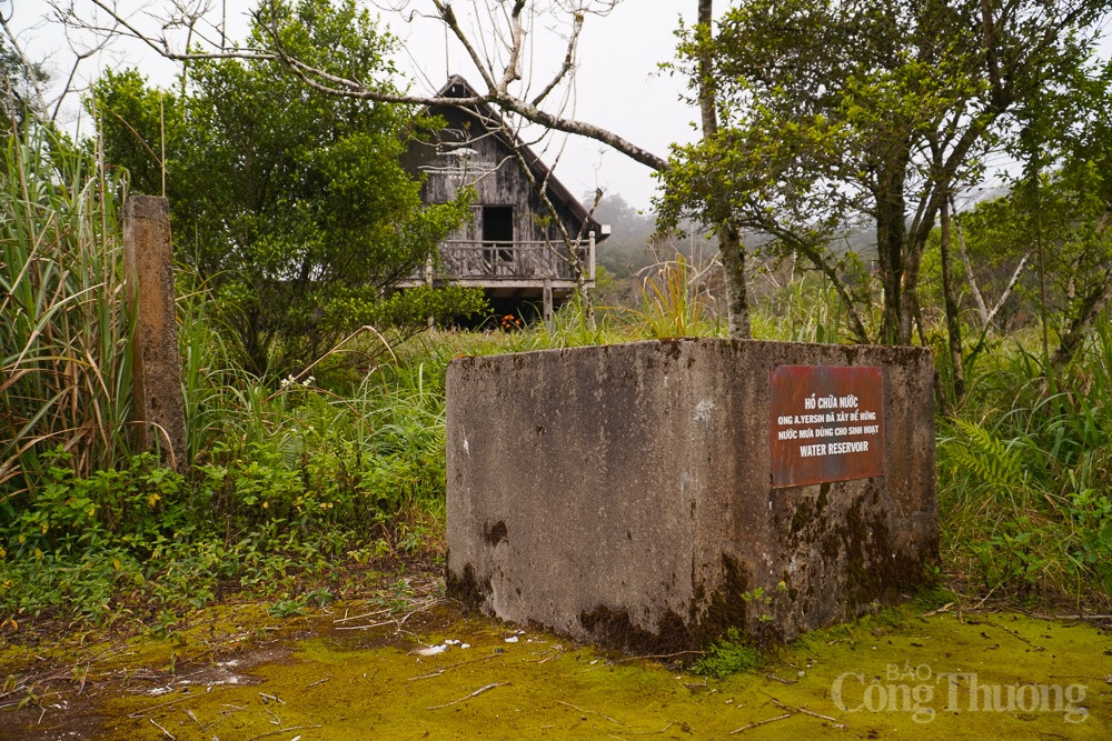 Bể chứa nước được bác sĩ A. Yersin xây để hứng nước mưa dùng cho sinh hoạt, giờ đây bị rêu, cỏ bao phủ. 