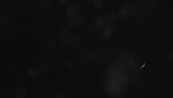 Tau do bo tu nhan Odysseus cua My chuan bi dap xuong Mat trang-Hinh-2