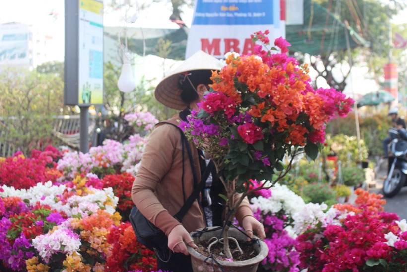 Nhiều ghe thuyền chở hoa từ các tỉnh Đồng bằng Sông Cửu Long đã cập bến Bình Đông. 