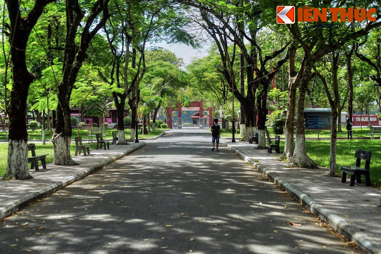 Trong giai đoạn kháng chiến chống Mỹ, nữ sinh Đồng Khánh cũng đã tích cực tham gia các phong trào Cách mạng Việt Nam, phong trào đòi ân xá và để tang Phan Bội Châu, những đêm xuống đường và "Hát cho đồng bào tôi nghe", biểu tình yêu cầu quân đội Mỹ rút khỏi miền Nam Việt Nam...