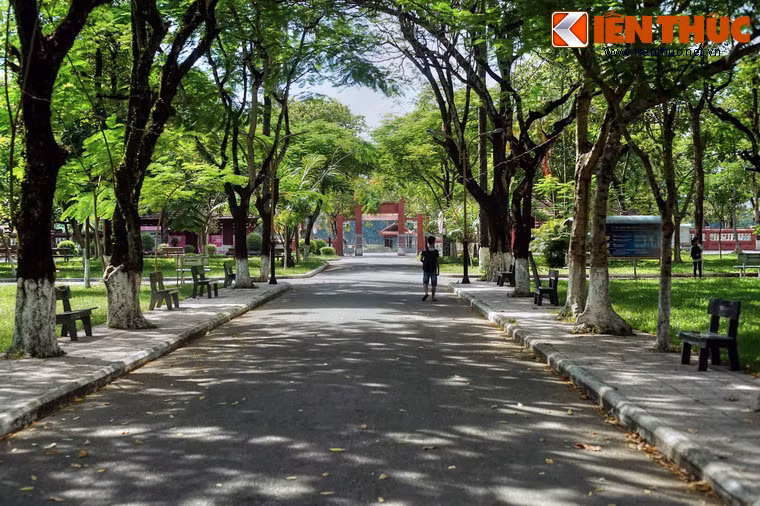 Trong giai đoạn kháng chiến chống Mỹ, nữ sinh Đồng Khánh cũng đã tích cực tham gia các phong trào Cách mạng Việt Nam, phong trào đòi ân xá và để tang Phan Bội Châu, những đêm xuống đường và "Hát cho đồng bào tôi nghe", biểu tình yêu cầu quân đội Mỹ rút khỏi miền Nam Việt Nam...