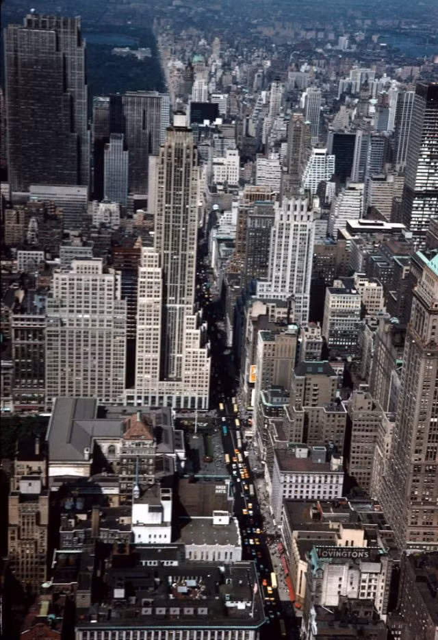 Đại lộ số 5 nhìn từ một tòa cao ốc. Ảnh: Vintag.es.