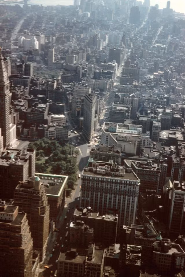 Đại lộ số 5 nhìn từ một tòa cao ốc. Ảnh: Vintag.es.