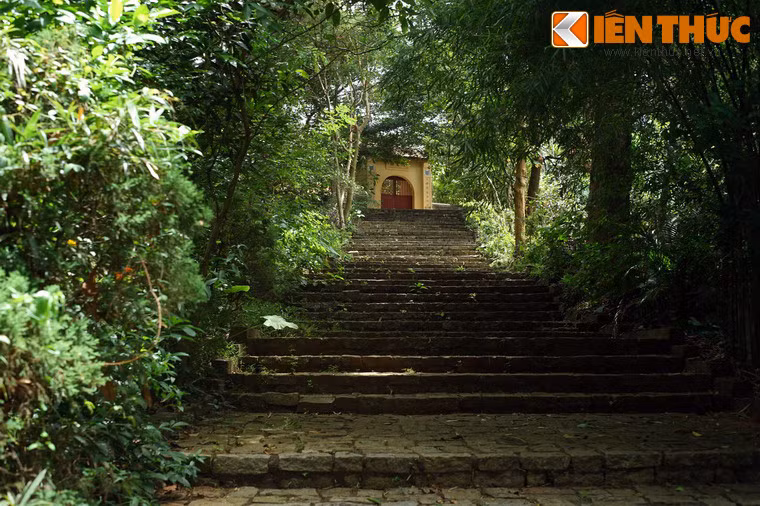 Lối đi được lát bằng đá rợp bóng cây rừng dẫn lên Đại Từ Các.