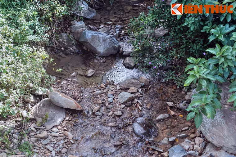 Thiên nhiên trên đèo vẫn mang nhiều nét hoang sơ.