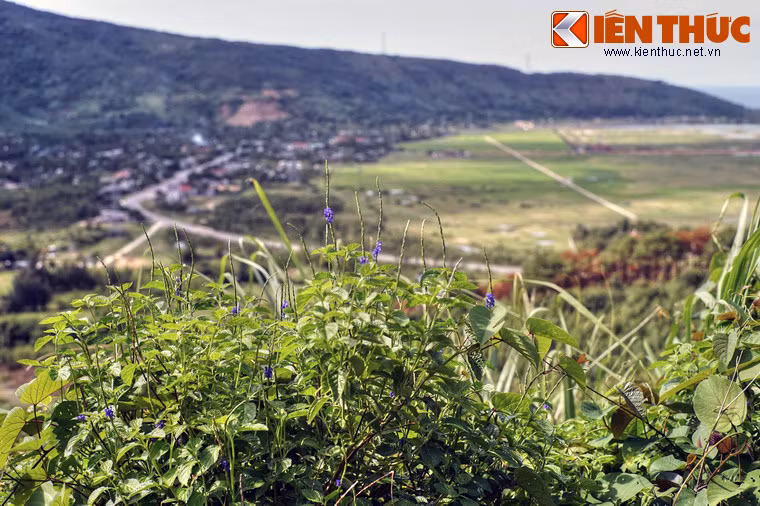 "...Nhớ nước đau lòng, con quốc quốc / Thương nhà mỏi miệng, cái gia gia / Dừng chân đứng lại trời, non, nước / Một mảnh tình riêng, ta với ta.