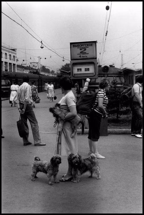 Người phụ nữ và ba chú chó cưng ở sân ga tàu điện, 1988. Ảnh: Elliott Erwitt / Magnum Photos.