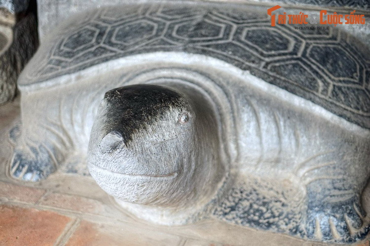 Rùa ở 82 tấm bia Văn Miếu không cùng một kiểu dáng. Ở những bia có niên đại sớm, rùa được tạc dáng bẹt, trơn nhẵn từ các khối vuông góc cạnh, có con thì được tạc kiểu cổ rụt, đầu chếch hoặc bằng ngang mặt bẹt, mắt tròn nhỏ…