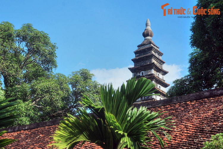 Chùa Phổ Minh cùng tháp Phổ Minh cùng đã được in hình vào tờ tiền mệnh giá 100 đồng phát hành năm 1991 của Việt Nam.