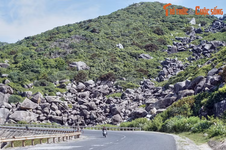 Đèo Cả nằm ở nơi giáp ranh của hai tỉnh Phú Yên và Khánh Hòa, trong đó phần lớn chiều dài nằm ở huyện Đông Hòa của Phú Yên. Đây là một trong những đèo lớn và hiểm trở, đồng thời có cảnh quan ngoạn mục nhất tại miền Trung.