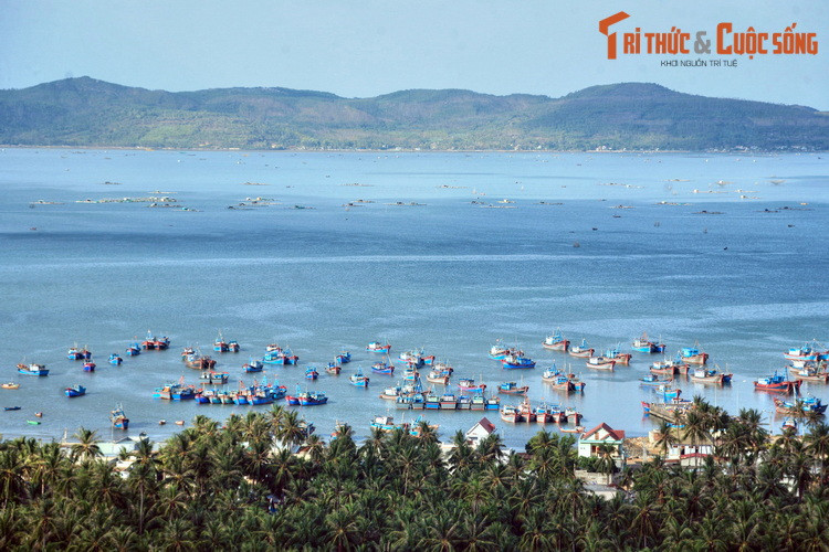 Vịnh Xuân Đài là một vịnh nhỏ nằm dưới chân dốc Găng thuộc địa phận Thị xã Sông Cầu, tỉnh Phú Yên, Việt Nam. Đây là một trong những vịnh được các chuyên gia đánh giá là có tiềm năng du lịch lớn nhất nhì miền Trung với cảnh sắc hữu tình, có nhiều đảo, bãi tắm rất đẹp và hoang sơ.